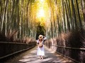 Mau Liburan ke Jepang? Perhatikan Ini Agar Perjalanan Nyaman