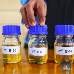 Eropa Larang Biofuel Sawit, Bagaimana Nasib B20 Indonesia?