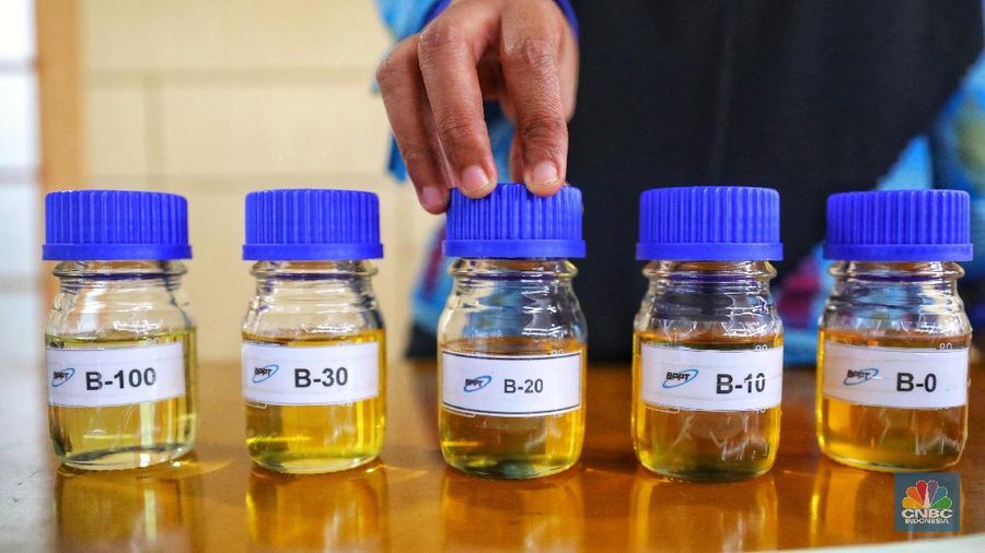 Kebijakan Eropa yang melarang biofuel dengan basis sawit membuat banyak yang mempertanyakan nasib B20 yang digagas RI
