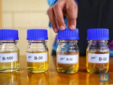 Eropa Larang Biofuel Sawit, Bagaimana Nasib B20 Indonesia?