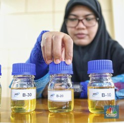 Eropa Hajar Biodiesel RI, Kemendag: Mereka Takut Tersaingi