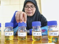 Harga Rata-rata CPO Turun, Biodiesel April Rp 7.387/Liter