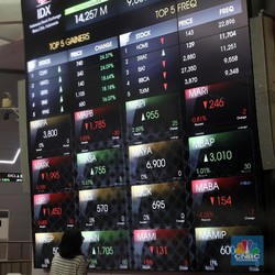 Disuspen 4 Bulan, Saat Ditransaksikan Saham TCPI Anjlok 20%