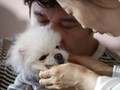 FOTO: Saat Warga Korea Lebih Pilih Anjing daripada Punya Anak