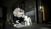 Kang Sung-il contohnya. Dia membelikan Sancho, anjing pomeranian peliharannnya mainan setiap kali perjalanan bisnis. (REUTERS/Kim Hong-Ji)