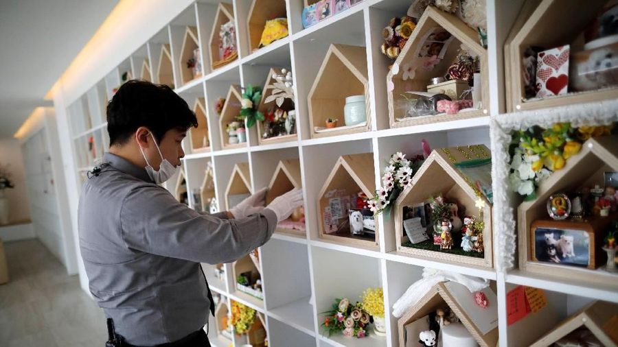 Biaya membesarkan anak yang dinilai sangat mahal, membuat pasangan di Korea Selatan lebih pilih Melihara hewan