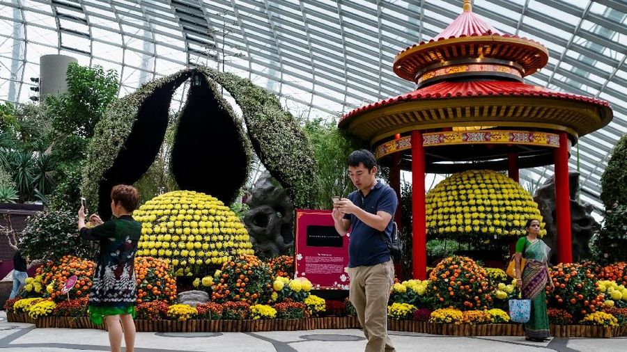 Pameran bunga Dahlia Dreams diselenggarakan menjelang perayaan Tahun Baru Imlek.