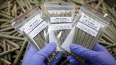 Israel siap mengekspor ganja untuk keperluan medis setelah kabinet negara tersebut meloloskan undang-undang yang mengizinkan pengiriman komoditas itu ke luar negeri. (Reuters/Amir Cohen)