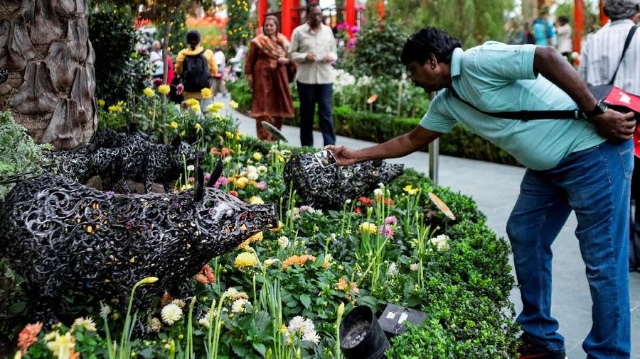 Pameran bunga Dahlia Dreams diselenggarakan menjelang perayaan Tahun Baru Imlek.