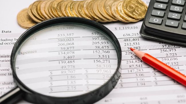 Tanpa Naikkan Tarif, Guru Besar UI Ungkap Cara Tambah Setoran Pajak