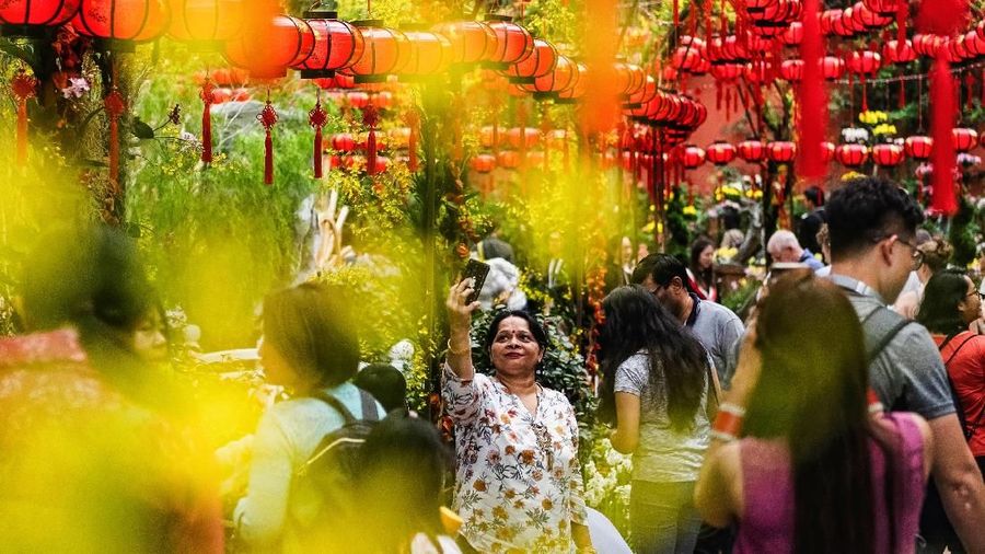 Pameran bunga Dahlia Dreams diselenggarakan menjelang perayaan Tahun Baru Imlek.