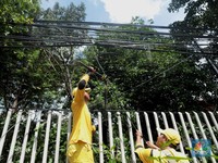 Punya Mobil Listrik, Tambah Daya Bisa Diskon 100%