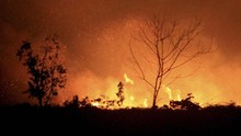BNPB Sebut Urusan Perut Penyebab Utama Karhutla