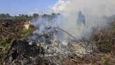 Peralatan yang dimiliki petugas juga tidak lengkap sehingga menambah sulit upaya pemadaman api yang membakar lahan gambut. (ANTARA FOTO/Syifa Yulinnas)