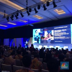 Sri Mulyani Sebut RI Kena Hukuman Karena Punya CAD