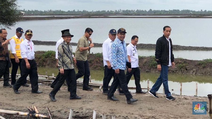Presiden Joko Widodo (Jokowi) meninjau lokasi panen raya udang di tambak warga Desa Pantai Bakti