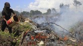 Warga juga membantu petugas memadamkan api di lahan gambut dengan cara sederhana. (ANTARA FOTO/Syifa Yulinnas)