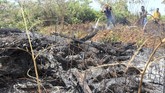 Kepala Staf Korem (Kasrem) 012/Teuku Umar Letkol Inf Yudhiono mengatakan pemadaman sulit dilakukan karena api ada di bawah permukaan bawah lahan gambut sehingga api sangat cepat dan mudah menjalar. (ANTARA FOTO/Syifa Yulinnas)