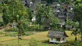 Warga merontokkan padi saat panen raya di Kampung Naga, Kabupaten Tasikmalaya, Jawa Barat. (ANTARA FOTO/Adeng Bustomi)