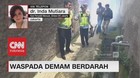 Waspada Demam Berdarah
