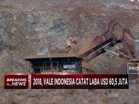 Vale Indonesia Raih Laba USD 60,5 Juta di 2018
