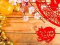Peruntungan Shio Babi di Tahun Babi Tanah