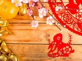 Peruntungan Shio Kelinci di Tahun Babi Tanah