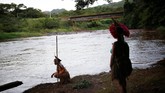 Selama ini mereka menggantungkan hidup dari ikan-ikan di Sungai Paraopeba sebagai sumber makanan utama. (REUTERS/Adriano Machado)