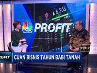 Cuan Bisnis di Tahun Babi Tanah