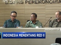 Angin Segar, Penundanaan Implementasi RED II