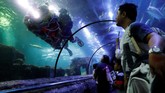 Di Sea World Jakarta, para penyelam menampilkan tarian singa bagi para pengunjung dari dalam air. (REUTERS/Willy Kurniawan)