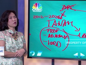 Ini Investasi yang Cocok di Tahun Babi Tanah