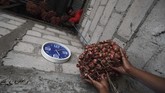 Hasil bawang di Pulau Sabu bisa mencapai hingga 3 ton saat panen tiba. (ANTARA FOTO/Puspa Perwitasari)