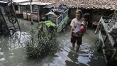 Saat hujan turun, warga juga waspada dan bersiap-siap mengungsi. Apalagi jika hujan tak kunjung reda yang bisa berakibat kediaman mereka tergenang. (ANTARA FOTO/Rivan Awal Lingga)