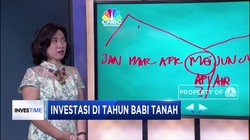 Ini Waktu Tepat Untuk Investasi di Periode Tahun Babi Tanah