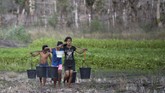 Di pulau yang dikenal juga dengan sebutan Sawu, intensitas hujan sangat rendah. Apalagi saat itu sedang musim kemarau. Aroma tandus sangat terasa. (ANTARA FOTO/Puspa Perwitasari)