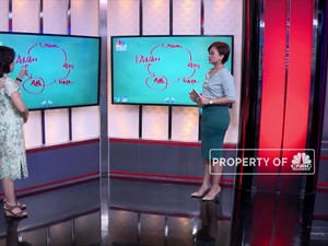 Ingin Cuan Investasi di Tahun Babi Tanah? Simak Ini Dulu!