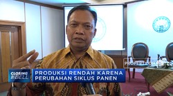 Produksi CPO Indonesia Diprediksi Melambat