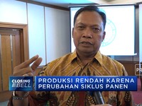 Produksi CPO Indonesia Diprediksi Melambat