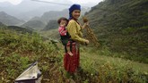 Sejauh ini mereka sudah diminta mengenakan busana tradisional dan membangun rumah tradisional, mempersingkat upacara pemakaman dan pernikahan demi kepentingan wisata. (Nhac NGUYEN / AFP)