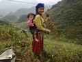 FOTO: Perjuangan Etnis Hmong Merebut Istana Warisan