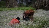 Etnis Hmong pun merasa mereka dipaksa oleh ide-ide pemerintah yang diyakini didasarkan pada kepentingan ekonomi semata. Namun tak bisa dipungkiri, lebih dari 60 persen dari satu juta etnis Hmong di Vietnam hidup di bawah garis kemiskinan. (Nhac NGUYEN / AFP)