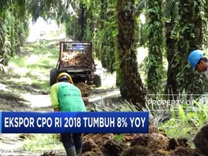 Ekspor CPO 2018 Tumbuh 8% Secara Tahunan