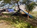 VIDEO: Pascagempa, Pengungsi Morotai Butuh Bantuan