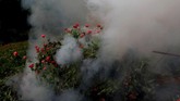 Di Amerika Serikat, lebih dari 15.000 orang meninggal karena overdosis heroin pada 2017 lalu. Heroin dari Meksiko menyumbang 86 persen dari heroin yang ditemukan di jalan-jalan AS.(REUTERS/Carlos Jasso).