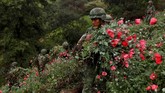 Di Amerika Serikat, kematian akibat overdosis opioid telah meningkat hampir enam kali lipat dalam dua dekade terakhir. (REUTERS/Carlos Jasso).