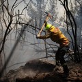 Ibu Kota Pindah ke Kalimantan, Bagaimana Nasib Hutan RI?