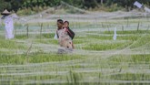 Kepala BPS Suhariyanto mengatakan kenaikan harga beras sejalan dengan kenaikan harga gabah, yang memang kerap terjadi sebelum memasuki masa panen pada bulan ini. (ANTARA FOTO/Syifa Yulinnas).