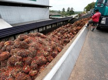 Indonesia Berpeluang Ambil Pasar CPO Malaysia di India