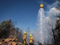 Kebakaran Lahan di Selandia Baru, Ribuan Warga Dievakuasi